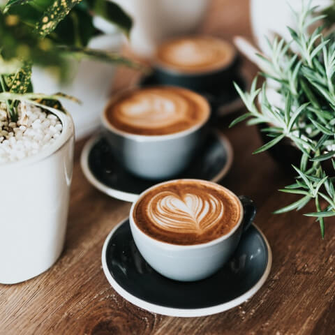 cafe-template-gallery